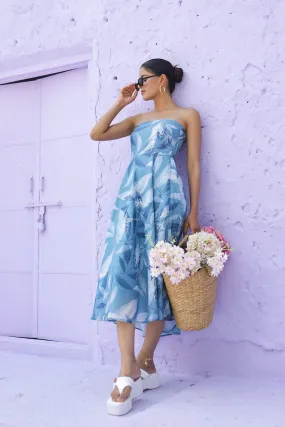 Alexis-Romanticizing Spring Midi