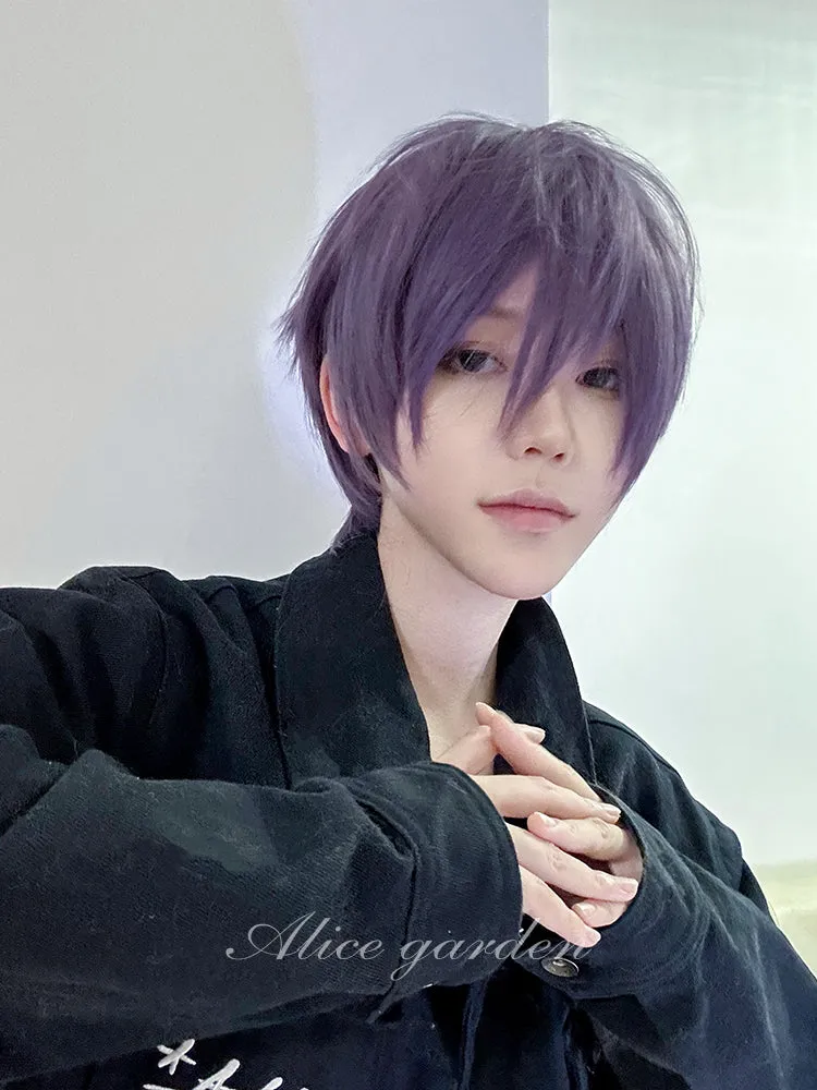 Casual Series Short Purple Ikemen Wig ON984