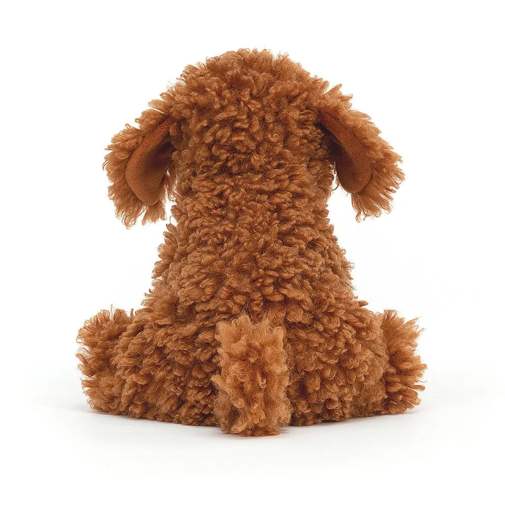 Dapper Dog Cooper Labradoodle Pup