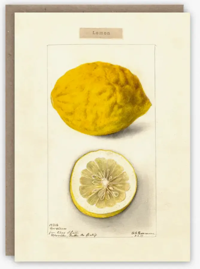 Lemon Notecard