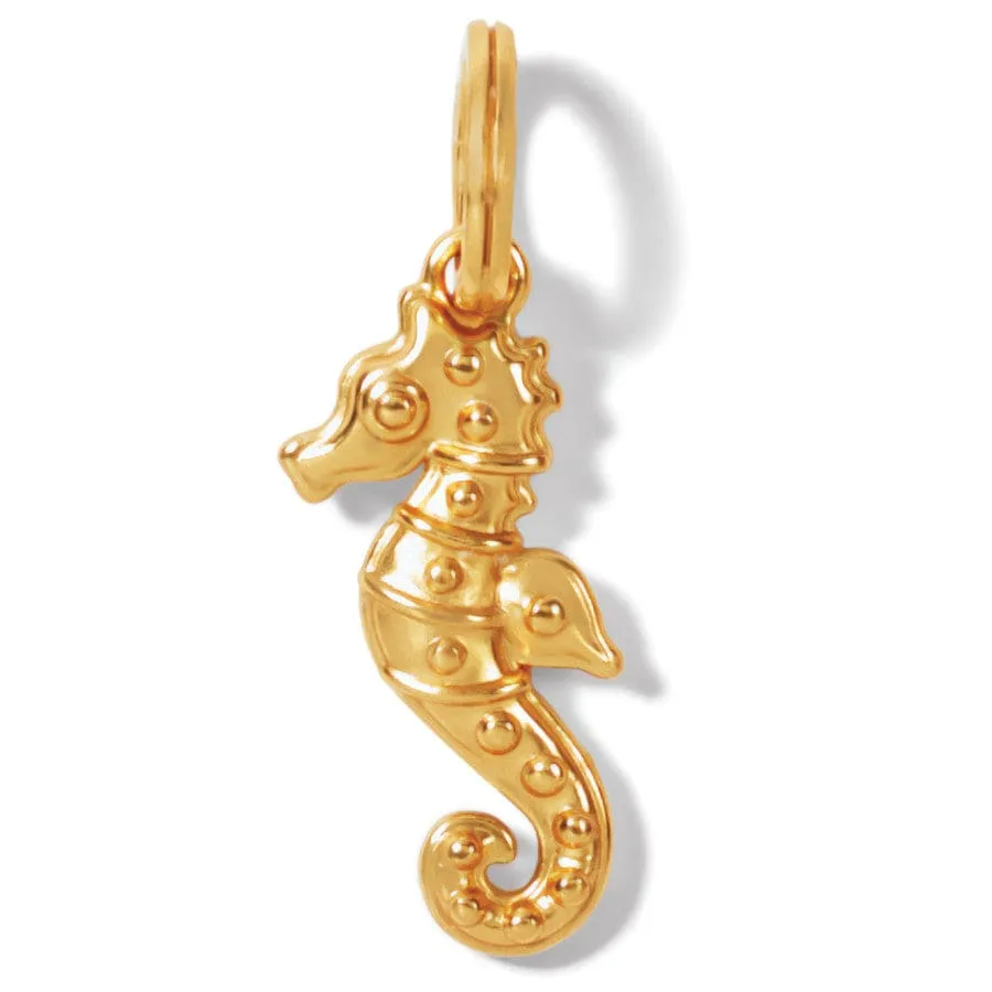 Paradise Cove Seahorse Charm